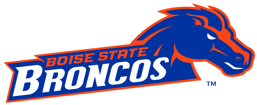 Boise State Broncos 2012-2013 Secondary Logo v3 iron on transfers for clothing